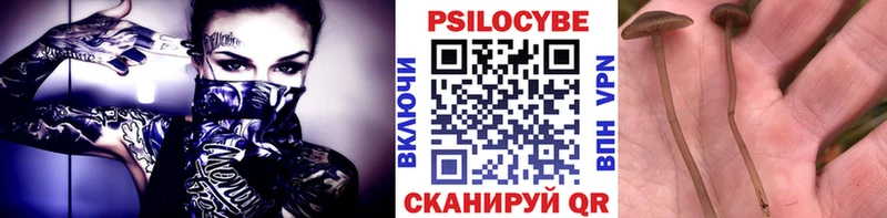 Галлюциногенные грибы мицелий  Верхнеуральск 